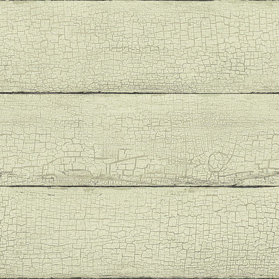 product image of Morgan Mint Distressed Wood Wallpaper from the Delphine Collection by Brewster 587