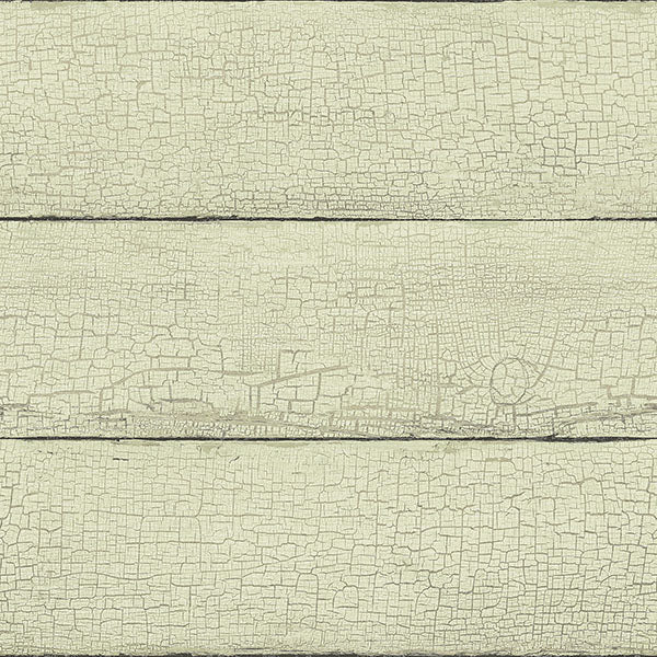 media image for Morgan Mint Distressed Wood Wallpaper from the Delphine Collection by Brewster 258