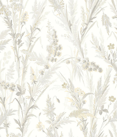 product image of Hillaire Wheat Meadow Wallpaper from the Delphine Collection by Brewster 50