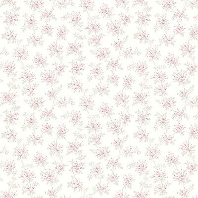 product image of Sofiane Pink Botanical Trail Wallpaper from the Delphine Collection by Brewster 546