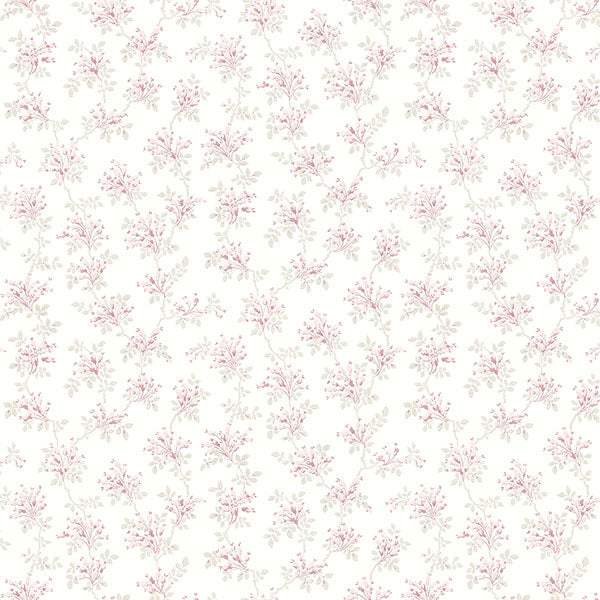 media image for Sofiane Pink Botanical Trail Wallpaper from the Delphine Collection by Brewster 211