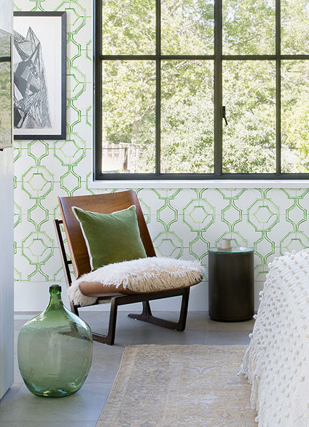 media image for Gallina Green Trellis Wallpaper from the Happy Collection by Brewster 240