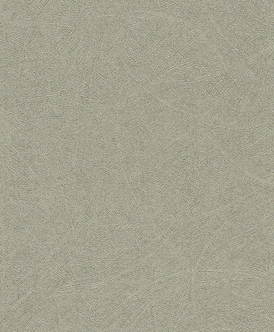 product image for Blain Pewter Texture Wallpaper from Concrete Advantage Collection by Brewster 97