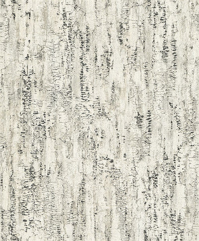 product image for Colm Charcoal Birch Wallpaper from Concrete Advantage Collection by Brewster 92