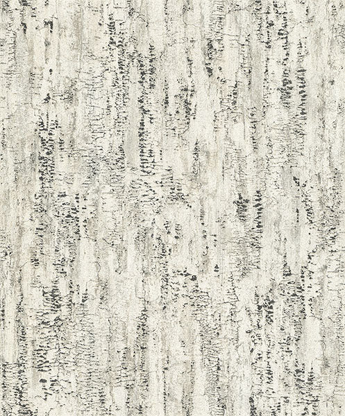 media image for Colm Charcoal Birch Wallpaper from Concrete Advantage Collection by Brewster 261