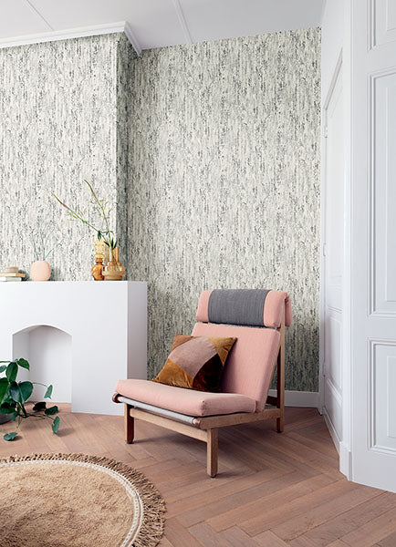 media image for Colm Charcoal Birch Wallpaper from Concrete Advantage Collection by Brewster 252