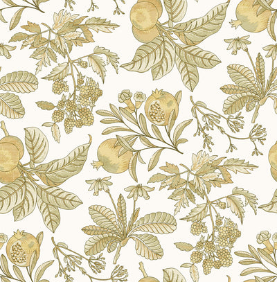 product image for Cecilia Honey Fruit Wallpaper 64