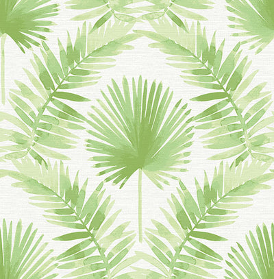 product image of Calla Green Painted Palm Wallpaper 571