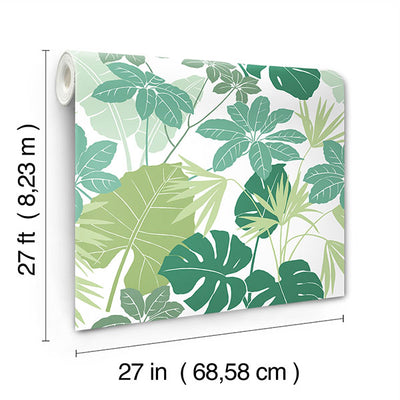 product image for Medellin Green Rainforest Floor Wallpaper 47