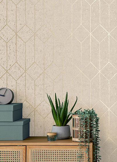 product image for Hayden Bone Concrete Trellis Wallpaper from Fusion Advantage Collection by Brewster 43