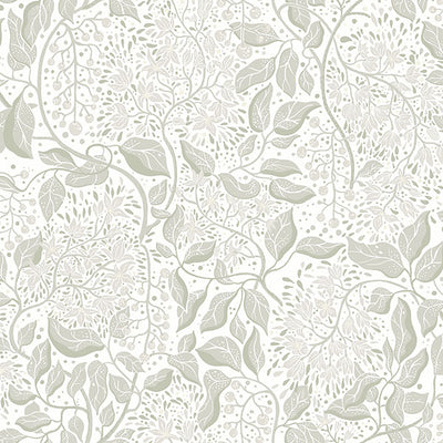 product image of Turi Sage Twining Vines Wallpaper 569