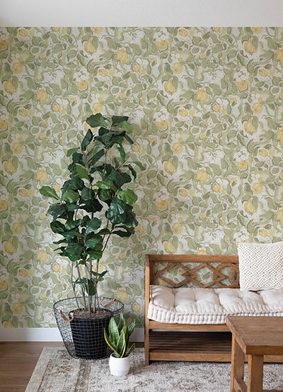 product image for Kort Sage Fruit and Floral Wallpaper 25