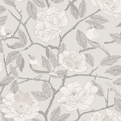 product image of Bernadina Grey Rosebush Wallpaper 584