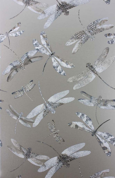 product image of Dragonfly Dance Wallpaper in gray from the Samana Collection by Matthew Williamson 561