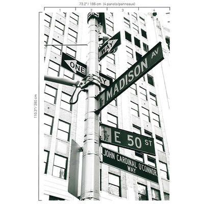 product image of Street Signs Wall Mural in Grey/Black 591