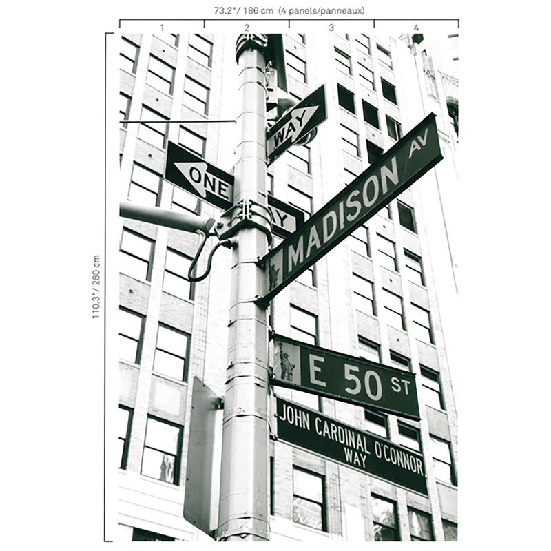 media image for Street Signs Wall Mural in Grey/Black 246