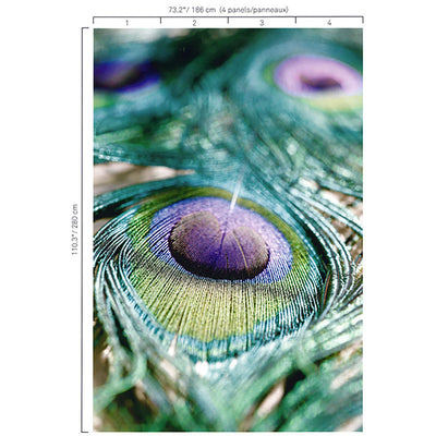 product image of Peacock Feather Wall Mural in Purple/Teal 598