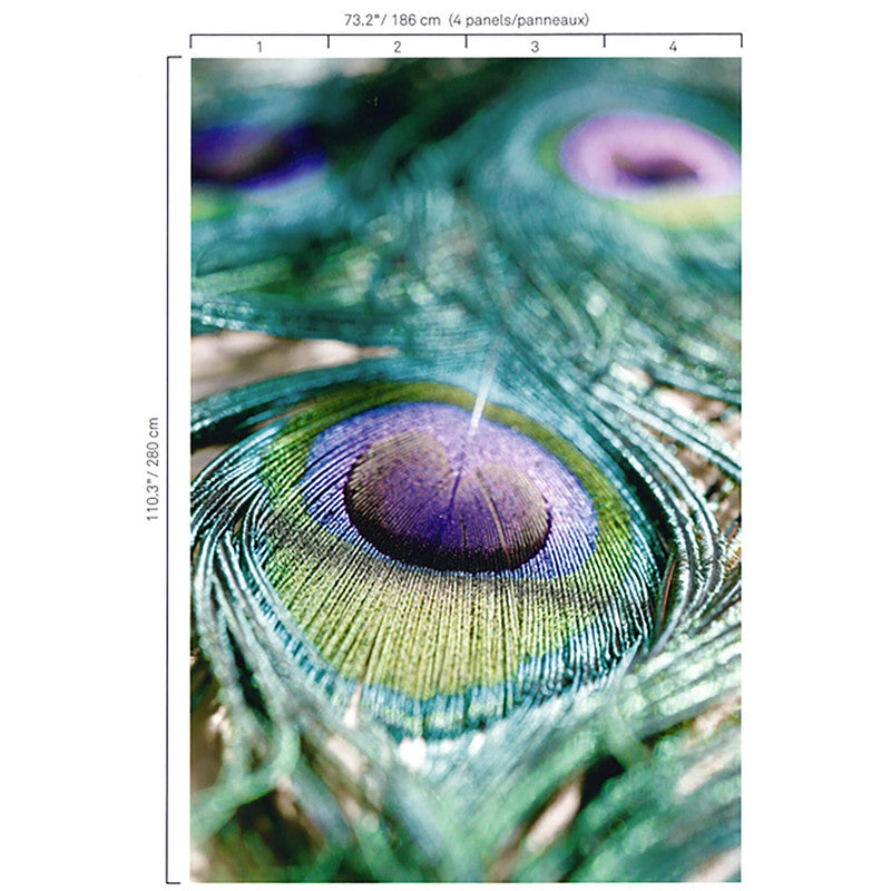 media image for Peacock Feather Wall Mural in Purple/Teal 252