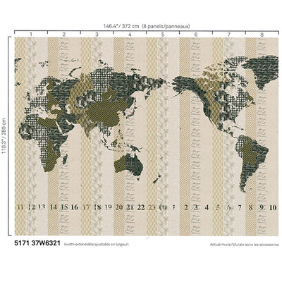 product image of World Atlas Abstract Wall Mural in Beige/Gold 573