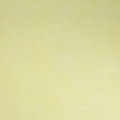 product image of Plain Wallpaper in Lime Green 52