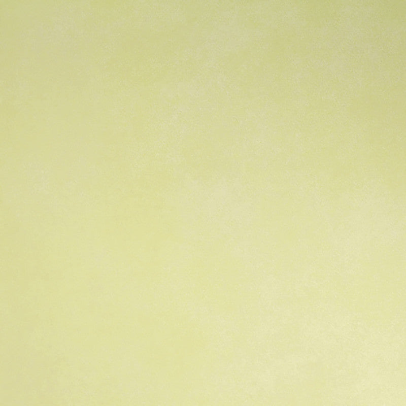 media image for Plain Wallpaper in Lime Green 276