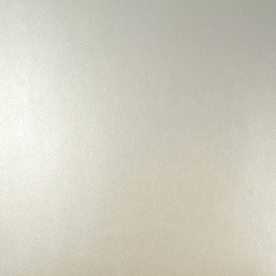 product image of Plain Metallic Wallpaper in Silver 534