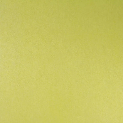 product image of Plain Shimmering Wallpaper in Lime Green 51