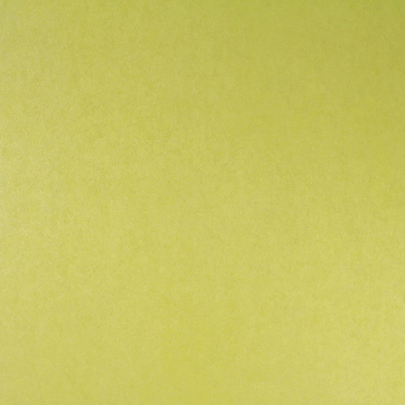 media image for Plain Shimmering Wallpaper in Lime Green 23