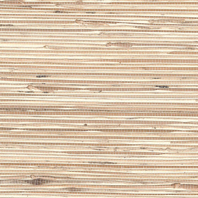 product image of Grasscloth Exotic Grasses Wallpaper in Golden Wheat/Cream 538