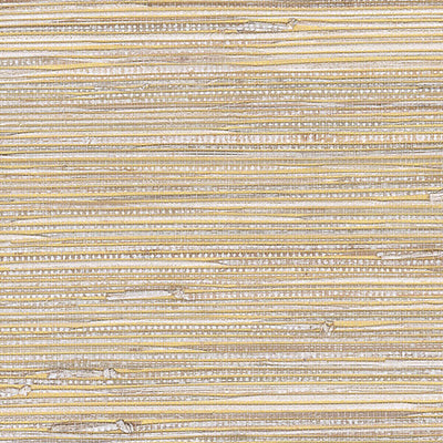 product image of Grasscloth Exotic Grasses Wallpaper in Gold 599