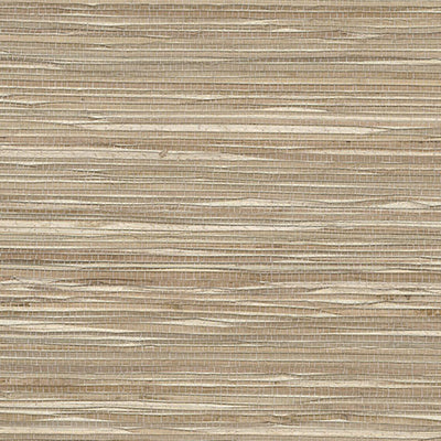 product image of Grasscloth Exotic Grasses Wallpaper in Wheat/Cream 543