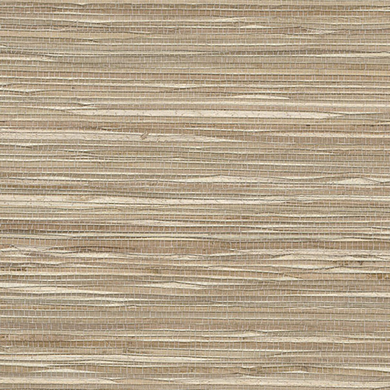 media image for Sample Grasscloth Exotic Grasses Wallpaper in Wheat/Cream 256