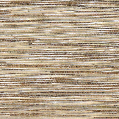 product image of Grasscloth Exotic Grasses Wallpaper in Wheat/Brown 540