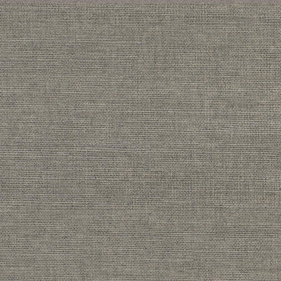 product image of Sample Grasscloth Exotic Grasses Wallpaper in Sage Green 589