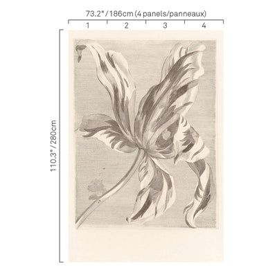 product image for Iris Flower Wall Mural in Grey 98