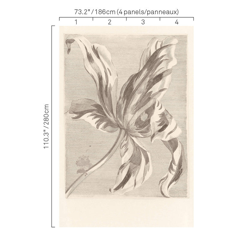 media image for Iris Flower Wall Mural in Grey 235