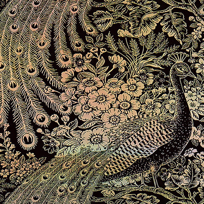 product image for Floral & Peacock Whimsical Wallpaper in Champagne/Black 1