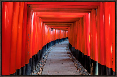 product image of Kinkaku-ji Kyoto by Leftbank Art 536