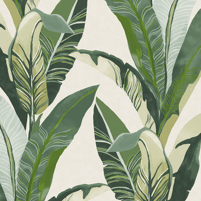 product image of Palm Leaf Tropics Wallpaper in Green/Cream 517