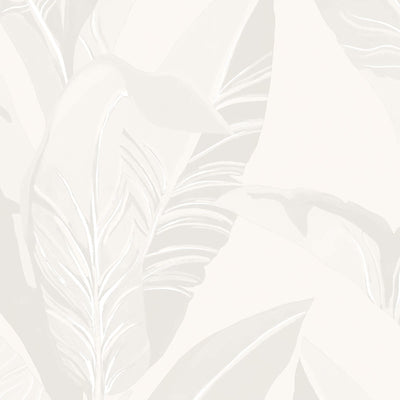 product image of Palm Leaf Tropics Wallpaper in Neutral Beige 565