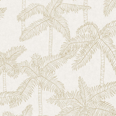 product image of Palm Trees Sketched Wallpaper in Gold/Beige 58