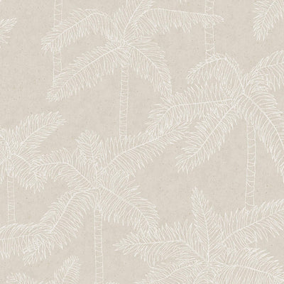 product image of Palm Trees Sketched Wallpaper in White/Beige 50