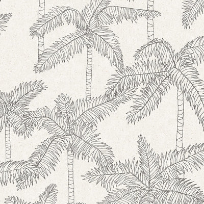 product image of Palm Trees Sketched Wallpaper in Charcoal/Cream 513