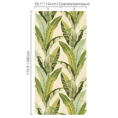 product image of Palm Leaf Tropics Wall Mural in Multi Green/Cream 533