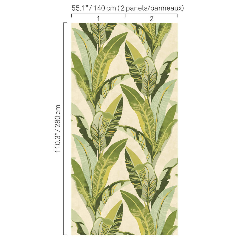 media image for Palm Leaf Tropics Wall Mural in Multi Green/Cream 291