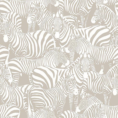 product image of Zebra Collage Wallpaper in Gold/Ivory 515