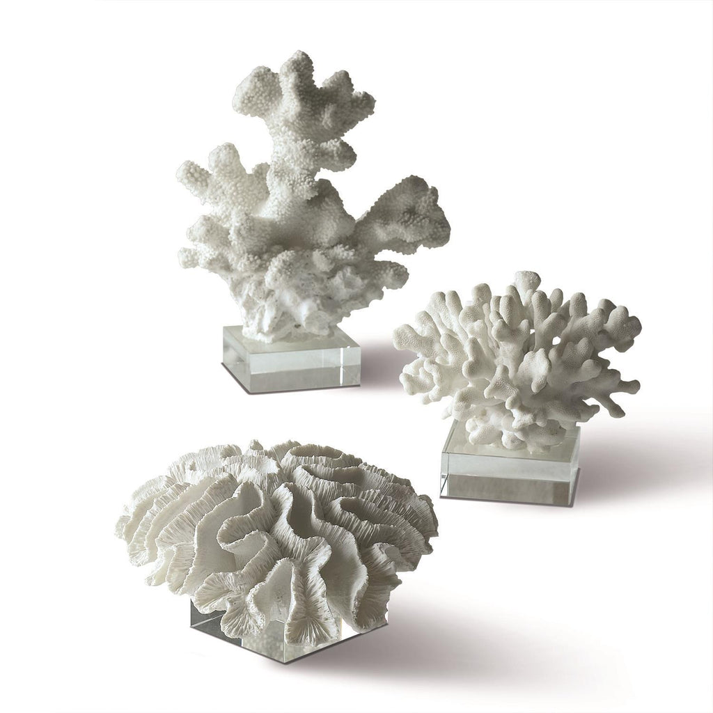 Shop for White Branch Coral Sculpture on Crystal Stand, Resin