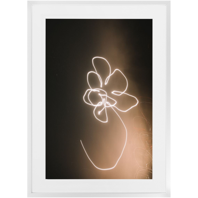 product image for moon flower framed photo 8 0