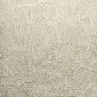 product image for Seashell Wallpaper in Beige 30