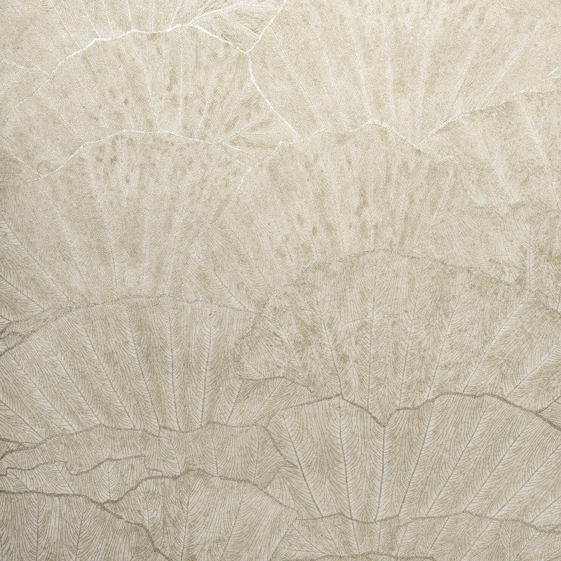 media image for Seashell Wallpaper in Beige 240